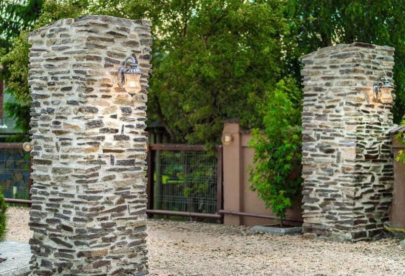 إستوديو قياسى سرير كينج, Transilvania Mansion