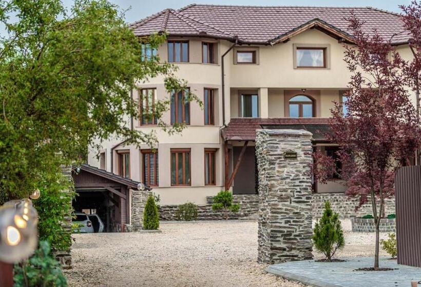 إستوديو قياسى سرير كينج, Transilvania Mansion