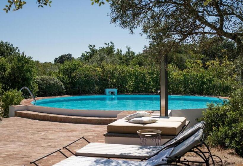 Standard Room Sea View, Altanure Casa Terra   Ecological Boutique Stay