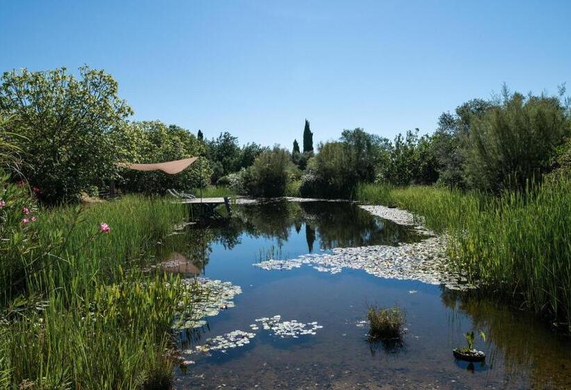 Standard Room Garden View, Altanure Casa Terra   Ecological Boutique Stay