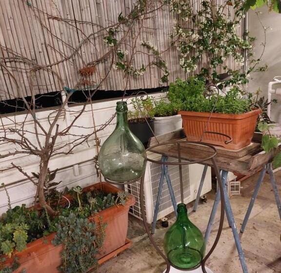 Четырехместный Номер Стандарт, Mandorleolio