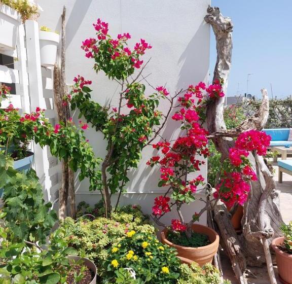 Четырехместный Номер Стандарт, Mandorleolio