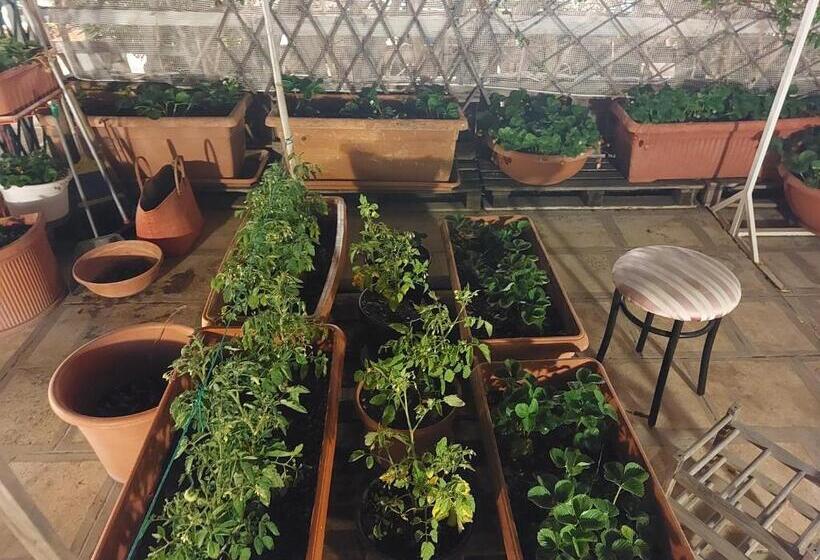 Четырехместный Номер Стандарт, Mandorleolio