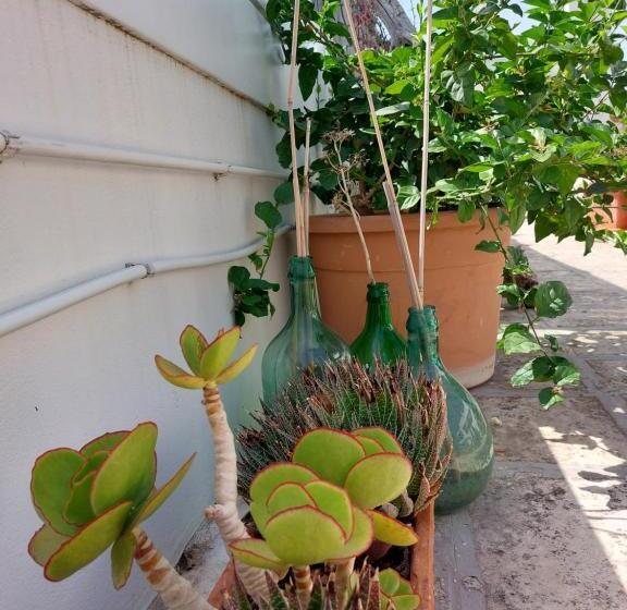 Четырехместный Номер Стандарт, Mandorleolio