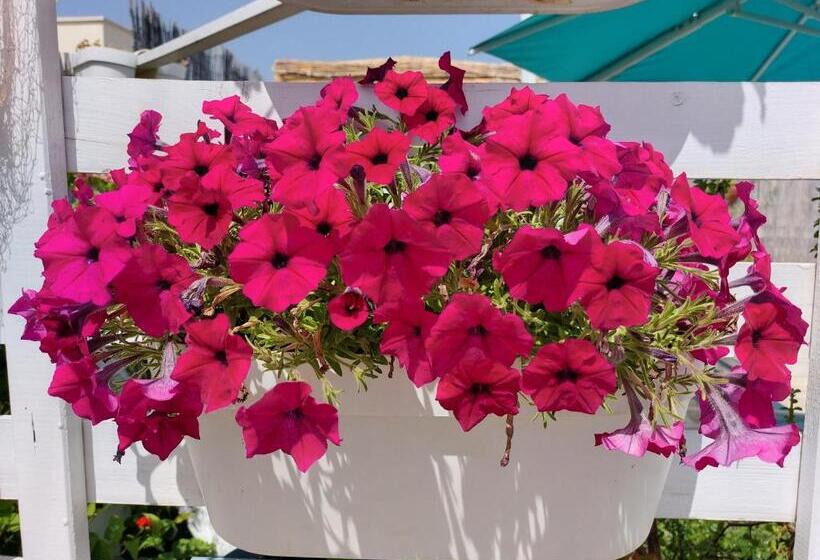 Четырехместный Номер Стандарт, Mandorleolio