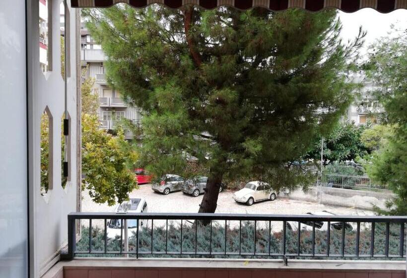 Номер Стандарт, Bb Dalla Zia