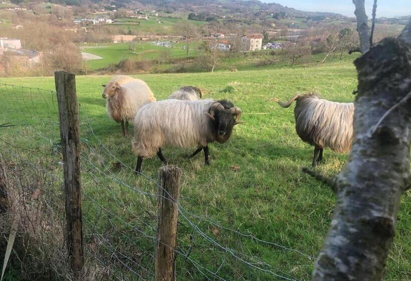 スタンダードルーム, Casa Iparra Txiki Berri