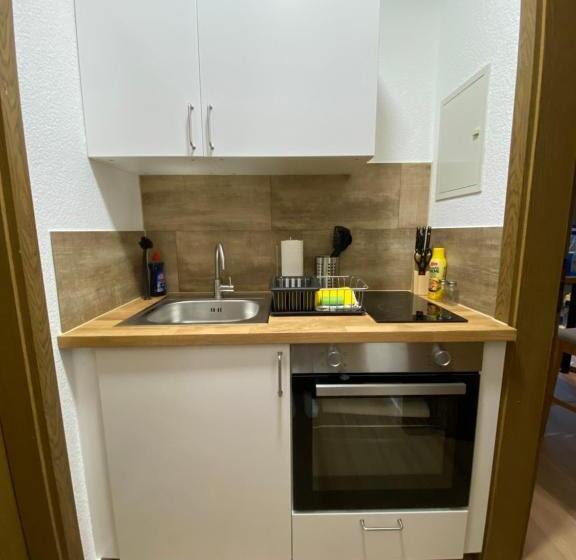 شقة ديلوكس غرفة واحدة, Residenz Am Kurpark   Ferienwohnungen In Zentraler Lage I Privatparkplatz