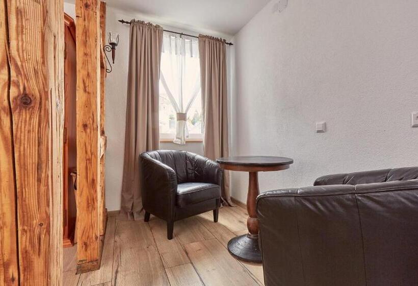 Quarto Standard para Deficientes, Krone Lounge