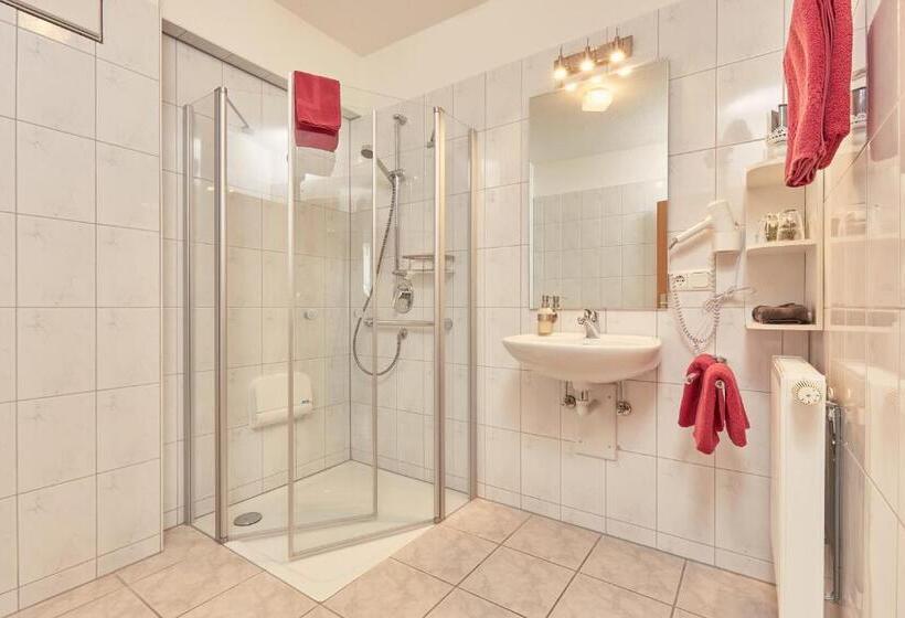 Quarto Standard para Deficientes, Krone Lounge