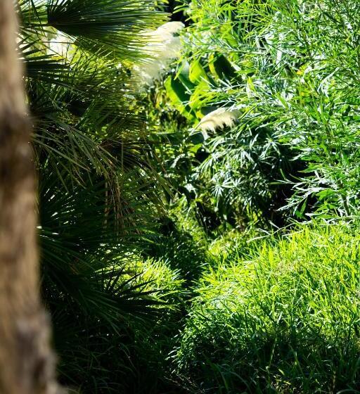 شقة غرفتين, A Natural Retreat