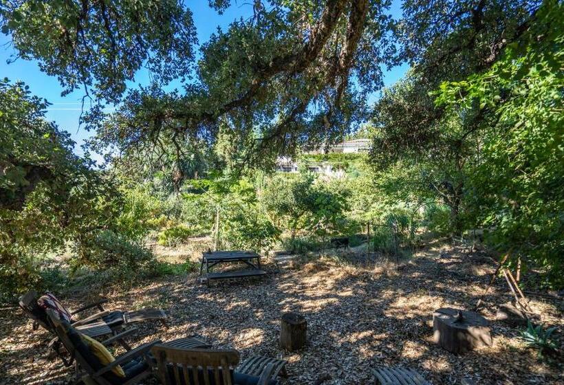 إستوديو قياسى مزودة بتراس, A Natural Retreat