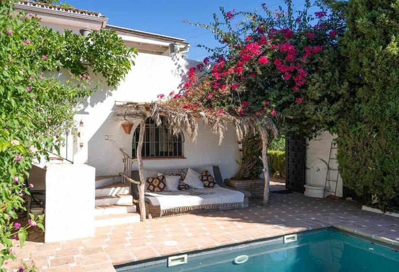 إستوديو قياسى مزودة بتراس, A Natural Retreat