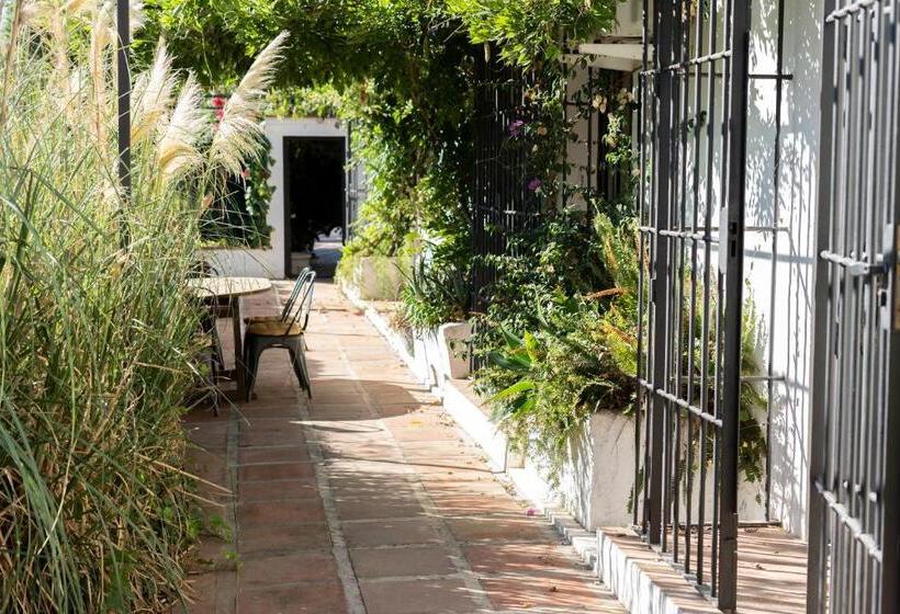 إستوديو قياسى مزودة بتراس, A Natural Retreat