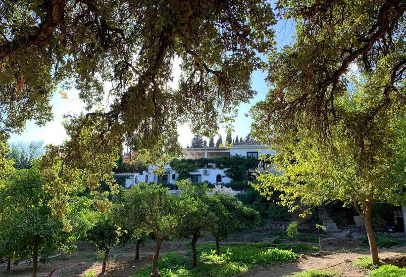 شقة غرفتين, A Natural Retreat