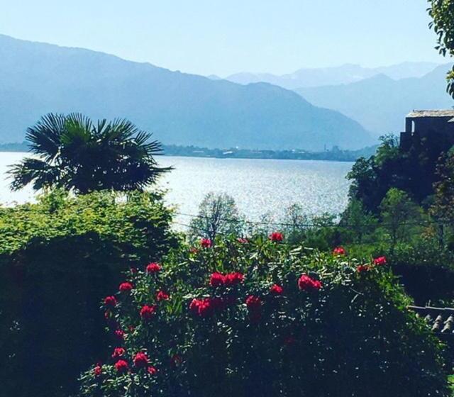 غرفة قياسية مطلّة علي البحيرة, Il Motto Di Tommy