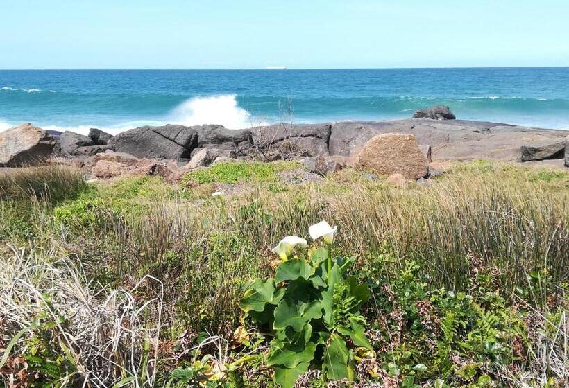 １ベッドルームハウス, Rockview Guest House