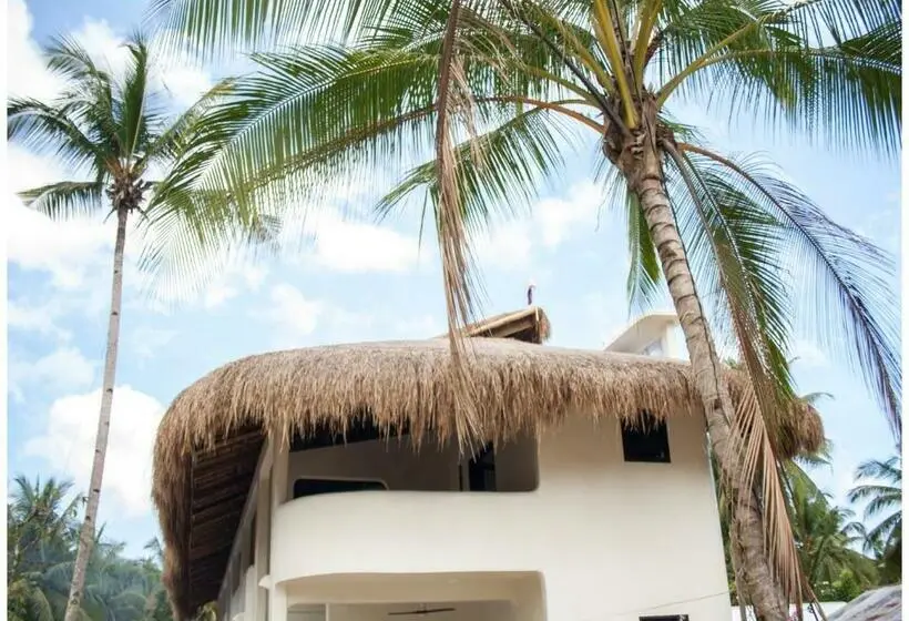 デラックススタジオ, Parrots Boutique Resort