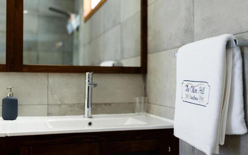 غرفة ديلوكس مزودة بشرفة, The Olive Hill Guesthouse