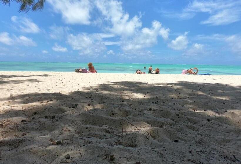 استودیوی استاندارد, Appartement & Studio Lolla