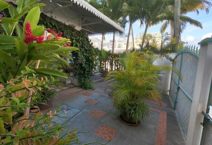 استودیوی استاندارد, Appartement & Studio Lolla