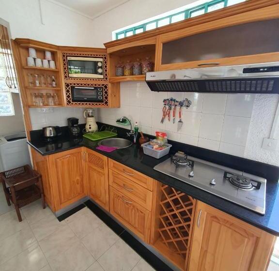 استودیوی استاندارد, Appartement & Studio Lolla