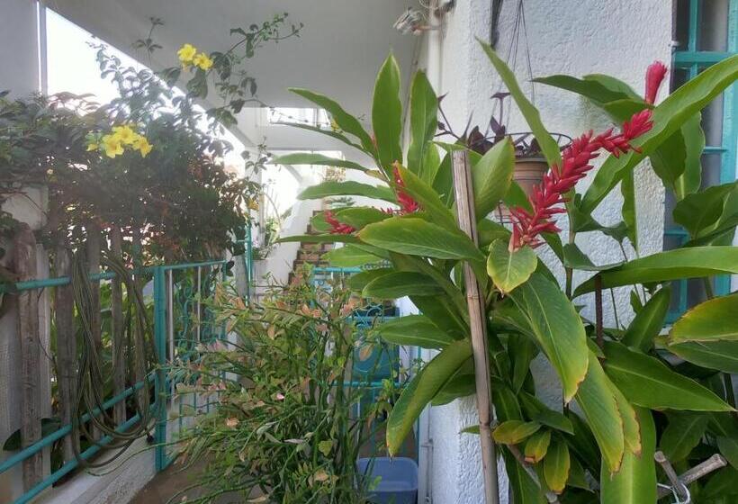 آپارتمان 2 خوابه, Appartement & Studio Lolla