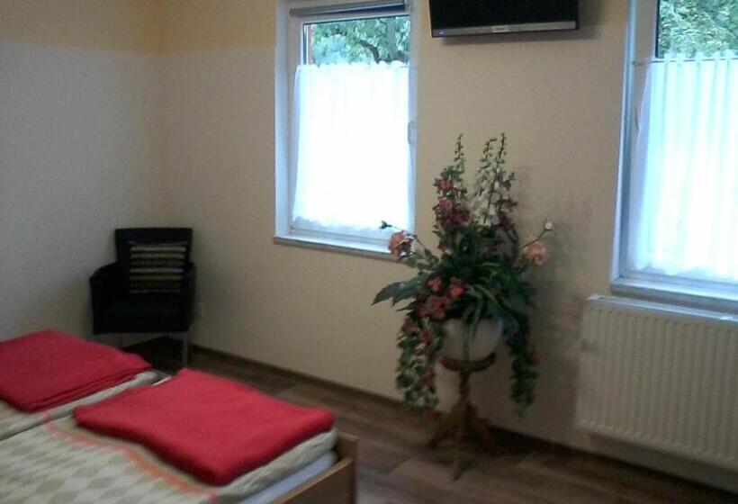 スタンダードルーム, Pension Waldbad Dommitzsch