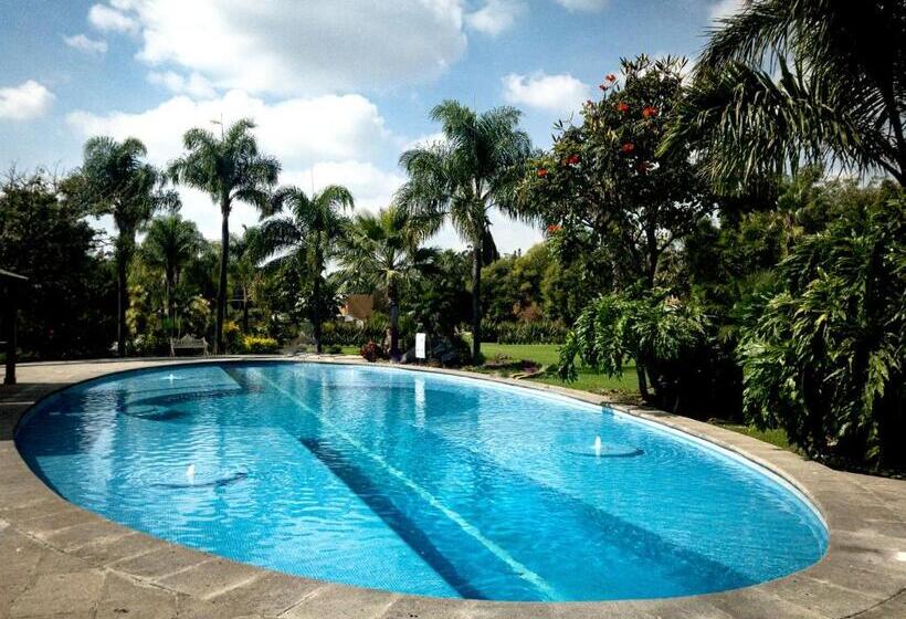 غرفة قياسية سرير كينج, Camino Del Bosque Atlixco By Rotamundos