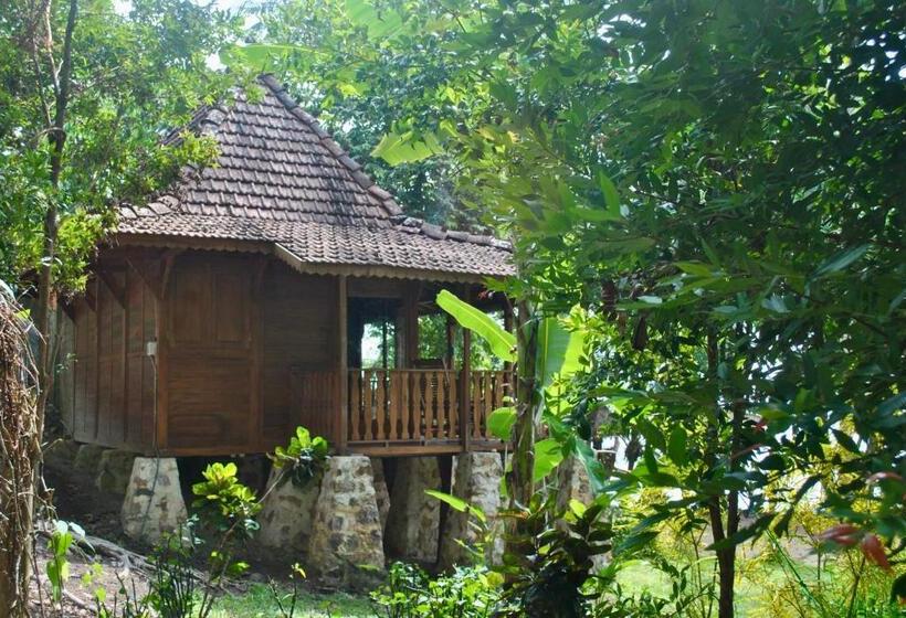 اتاق استاندارد با تخت بزرگ, Alam Kita