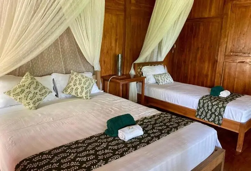 Deluxe Trippelrum Havsutsikt, Alam Kita