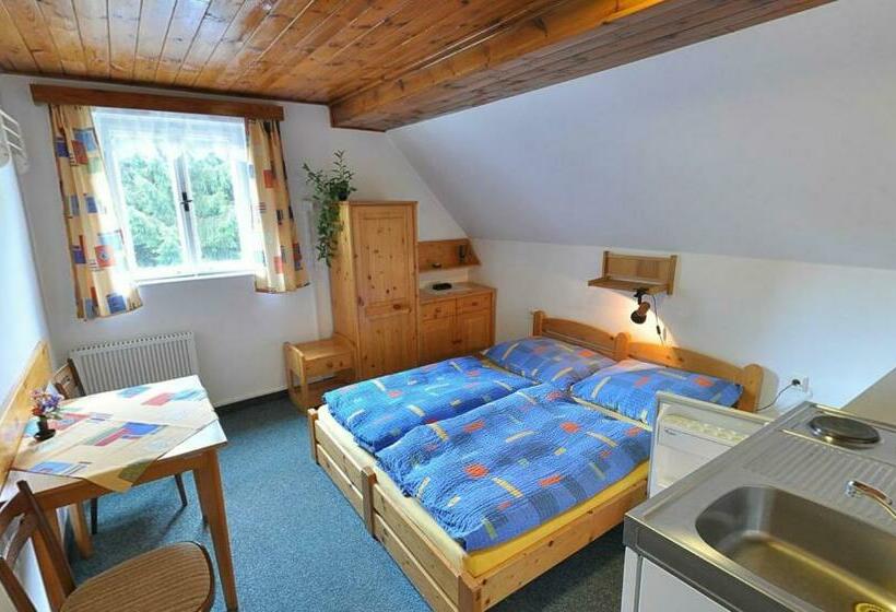 חדר סטנדרט, Pension Dita   Adršpach