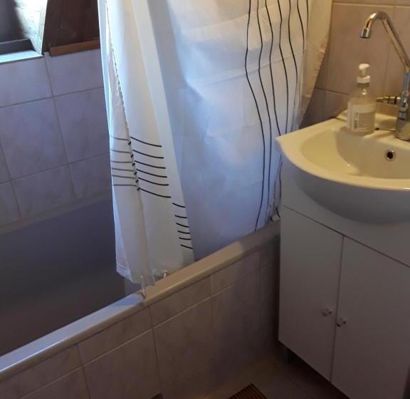 浴室共有ファミリールーム, Tunnel Family Apartmanház Pécs