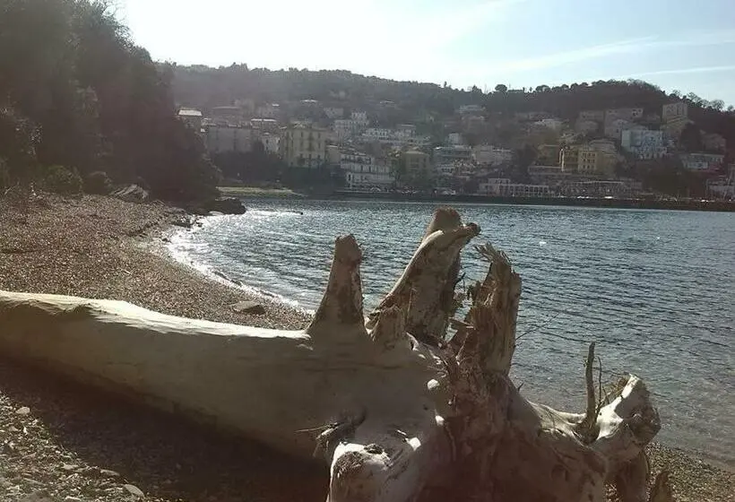 اتاق استاندارد, Kirillos In Cilento