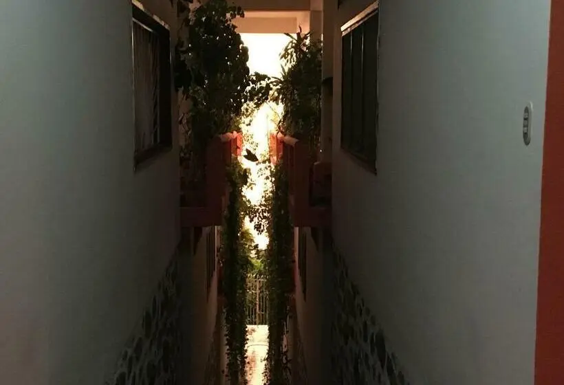 آپارتمان 1 خوابه با چشمانداز دریا, Bungalows Pacíficos