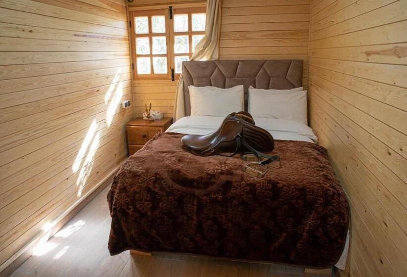 بنگله خانوادگی, Dar Zayane