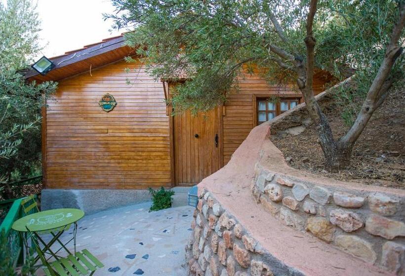 بنگله خانوادگی, Dar Zayane