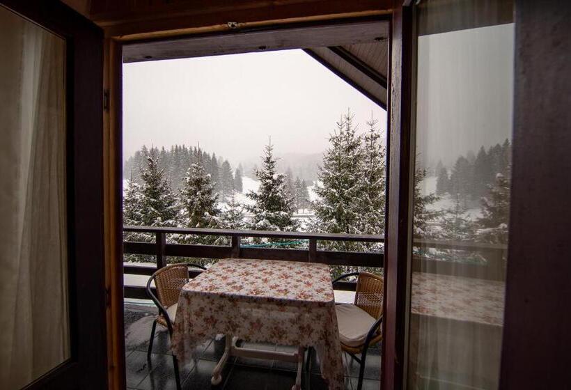 غرفة قياسية مطلة على الجبل, Poiana Cristian