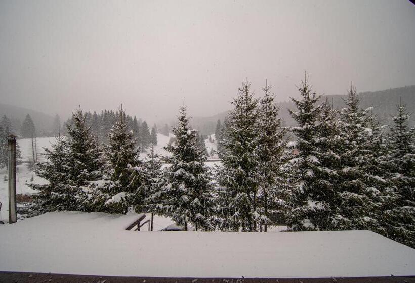 غرفة قياسية مطلة على الجبل, Poiana Cristian