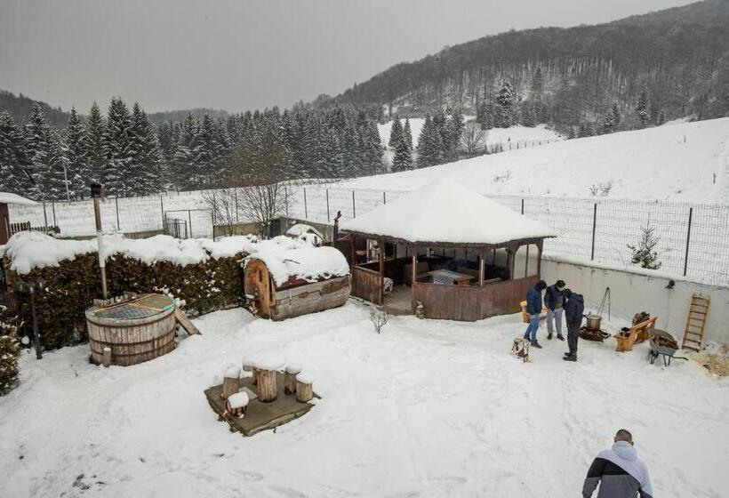 غرفة قياسية مطلة على الجبل, Poiana Cristian