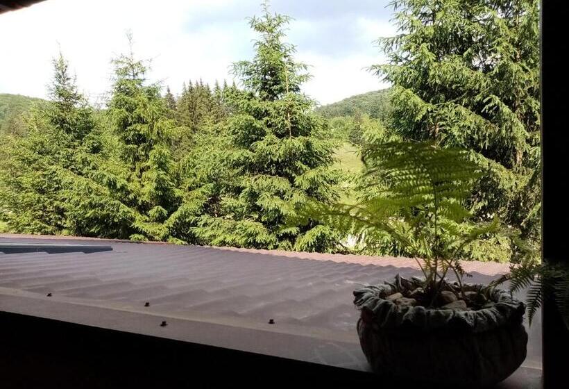 غرفة قياسية مزوَّدة بشُرفة, Poiana Cristian