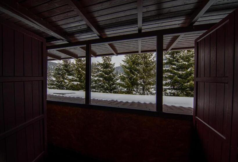 غرفة قياسية مزوَّدة بشُرفة, Poiana Cristian