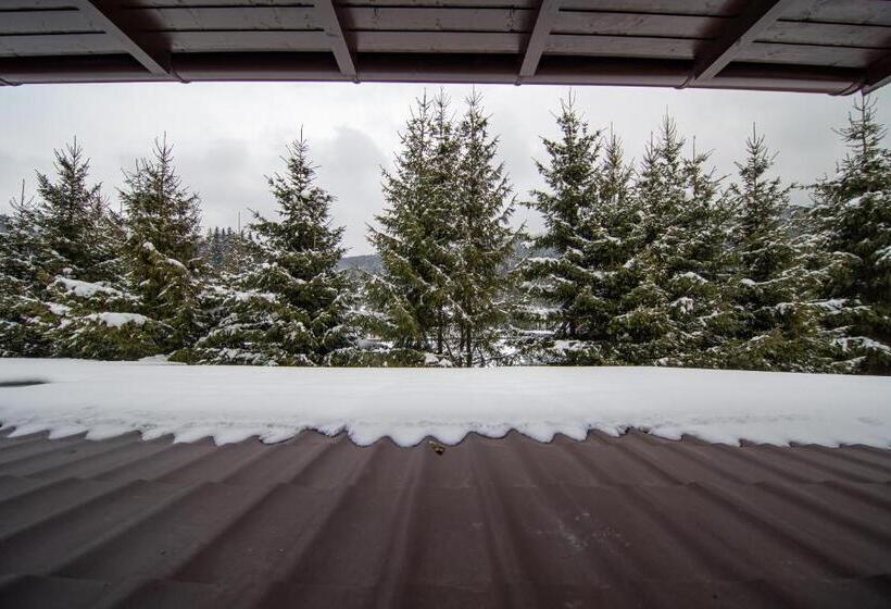 غرفة قياسية مزوَّدة بشُرفة, Poiana Cristian