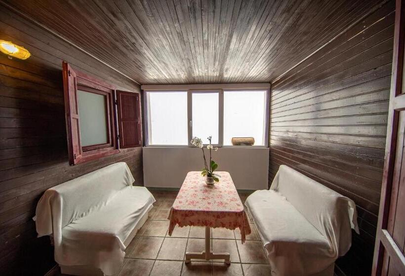 غرفة قياسية مطلة على الجبل, Poiana Cristian