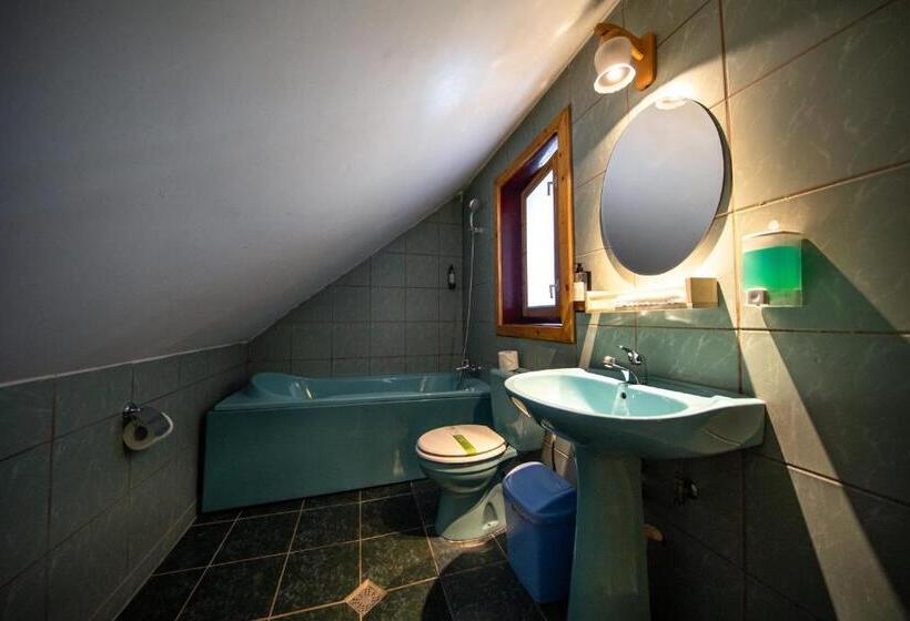 غرفة قياسية مطلة على الجبل, Poiana Cristian