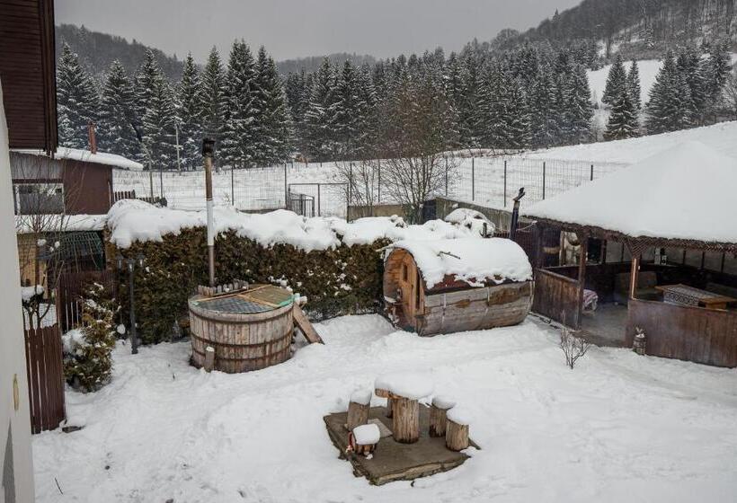 جناح غرفتين نوم, Poiana Cristian