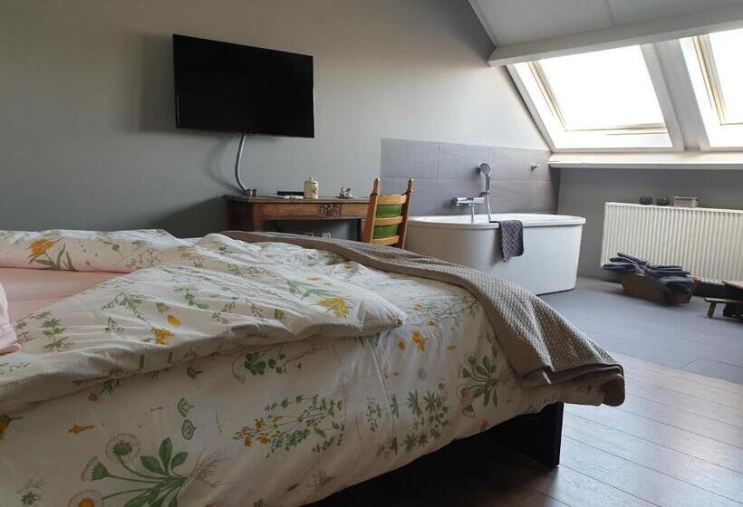 اتاق لوکس, B&b  T Merthoes