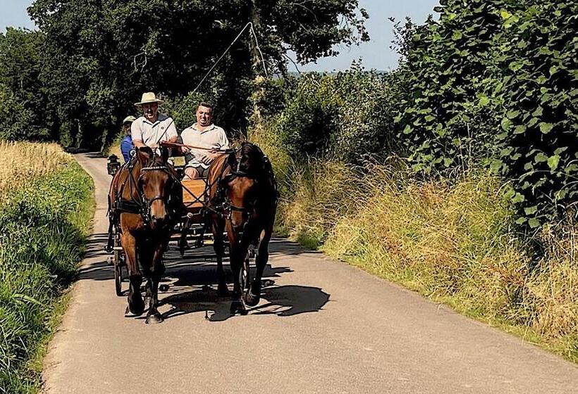 Номер Deluxe, L Herbe Aux Vaches