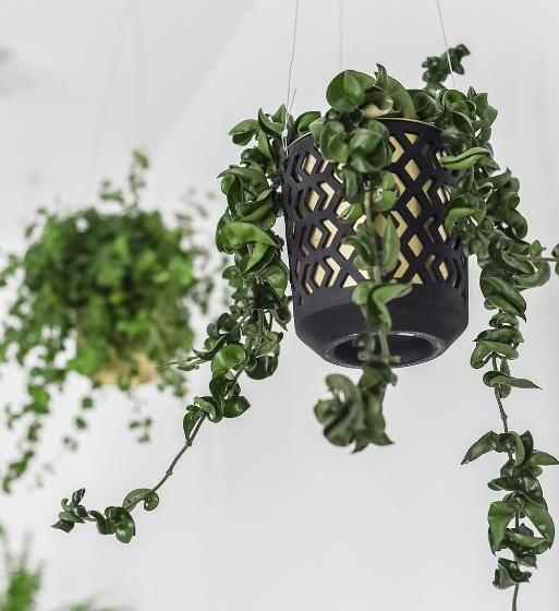 آپارتمان 1 خوابه با بالکن, Four Luxury Flats