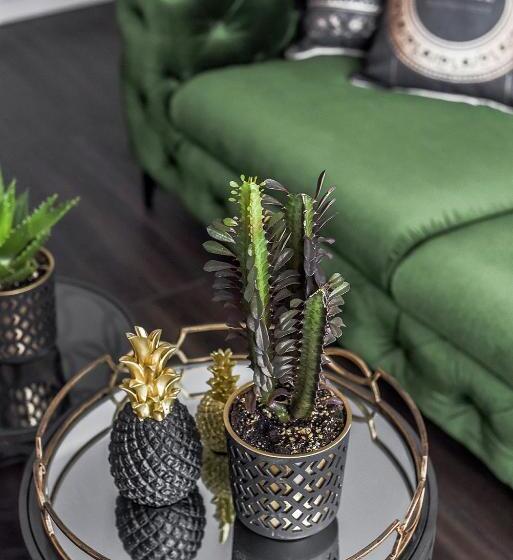 شقة غرفة واحدة مزودة بتراس, Four Luxury Flats